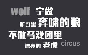 公司简介